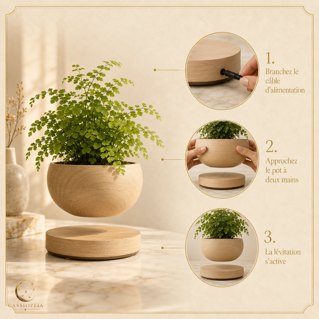 AERIA - Plante en lévitation