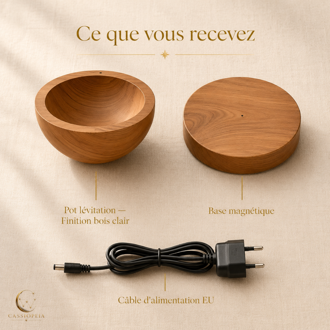 AERIA - Plante en lévitation
