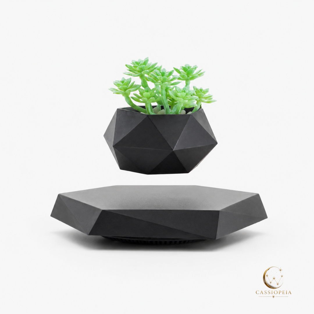 LEVITA La plante en suspension