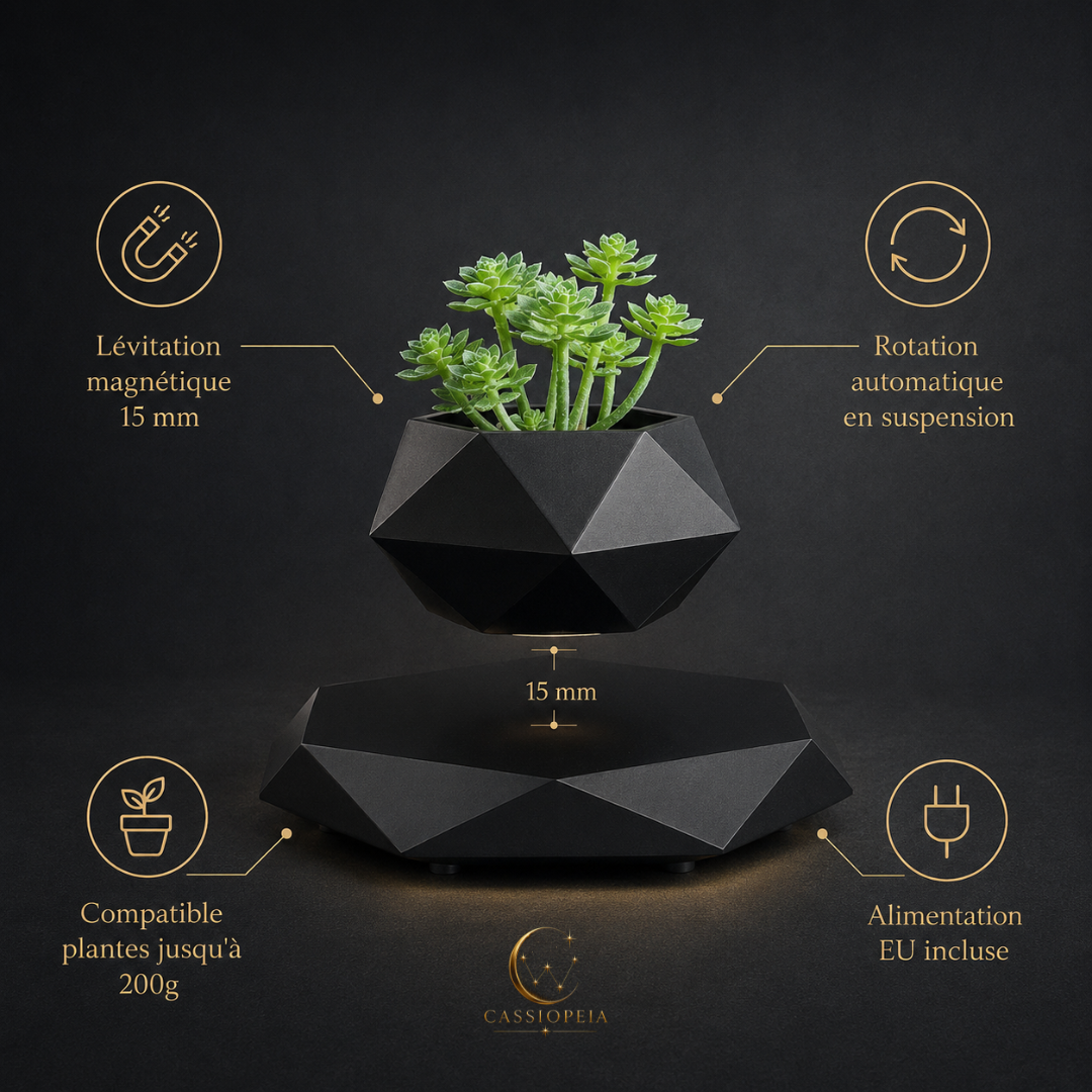 LEVITA La plante en suspension