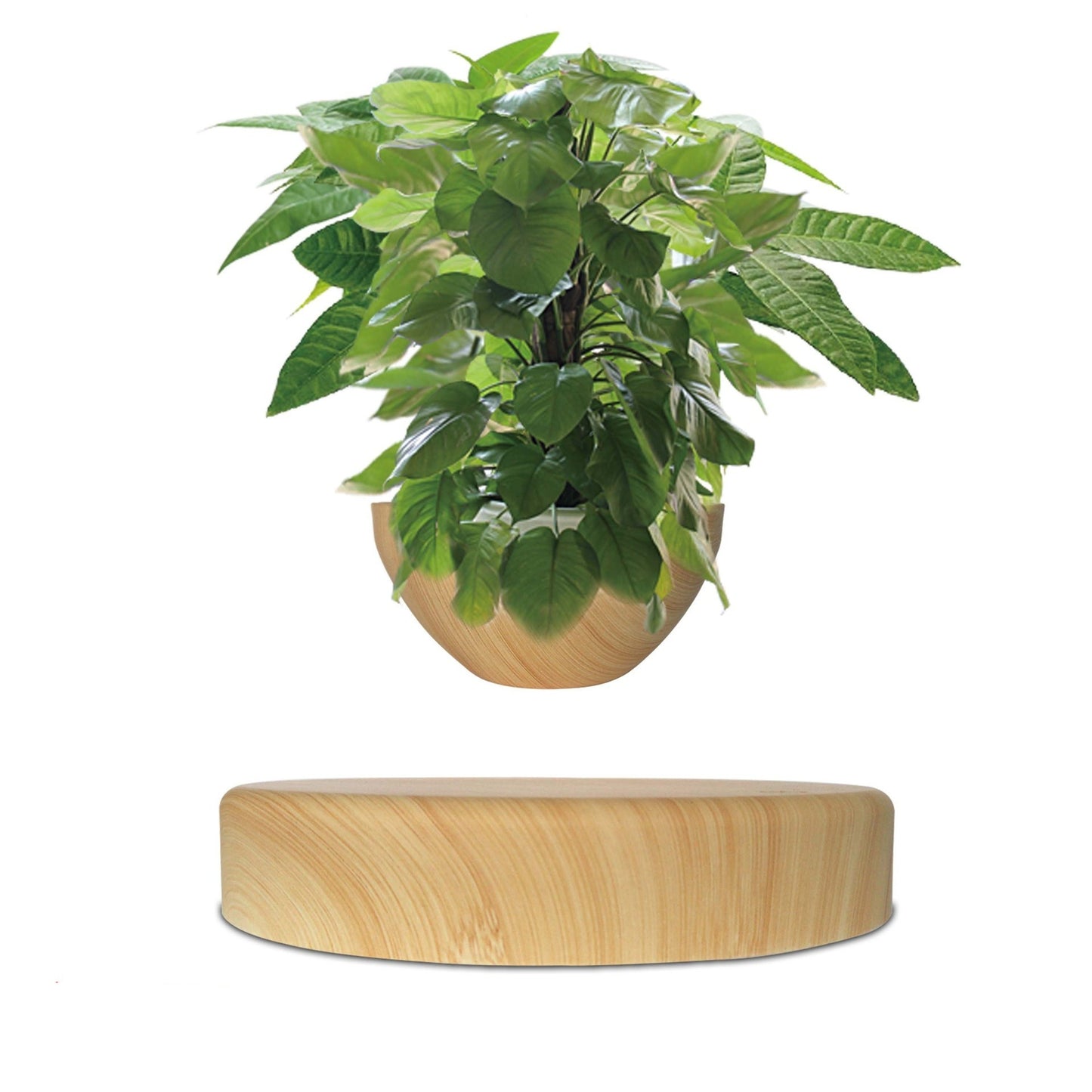AERIA - Plante en lévitation